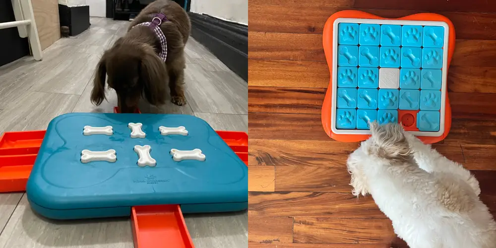 best puppy toys for mental stimulation