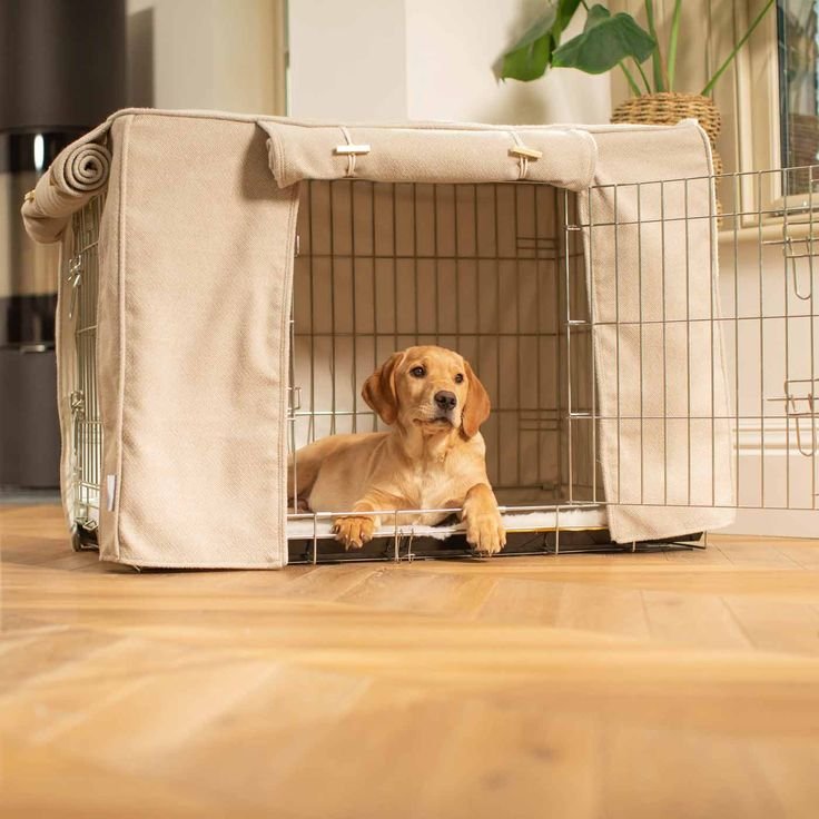 best crates for puppies