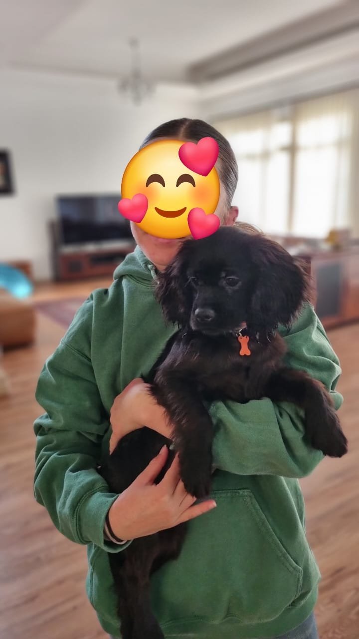 Happy customer holding their new puppy from PuppiesHub