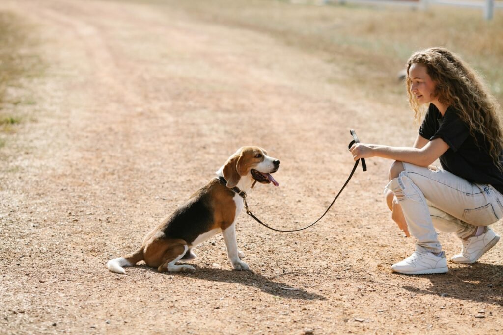 how to potty train a puppy fast in the UAE