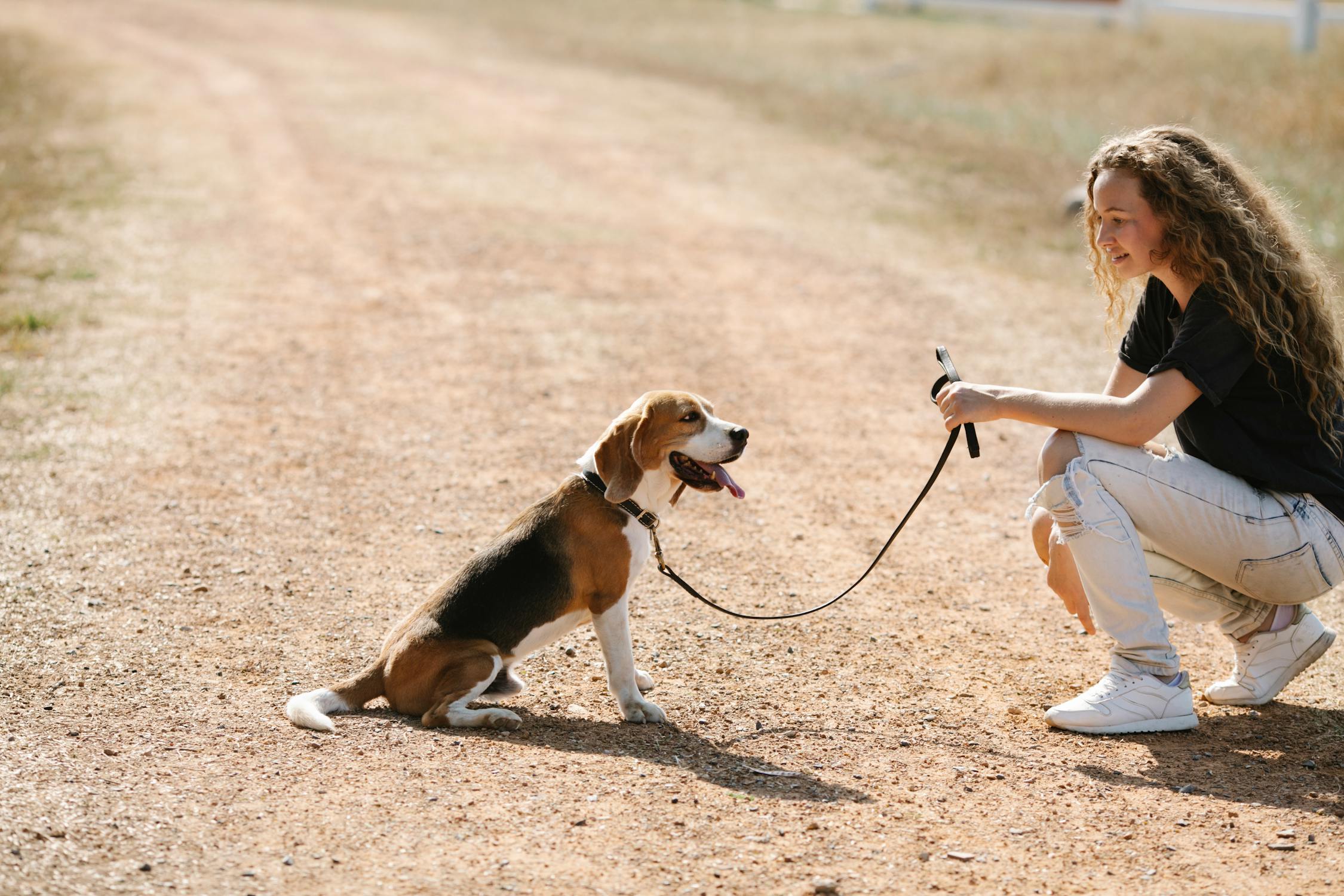 how to potty train a puppy fast in the UAE