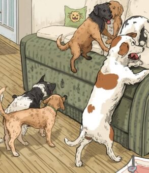 Why Dogs Bite and Scratch Furniture