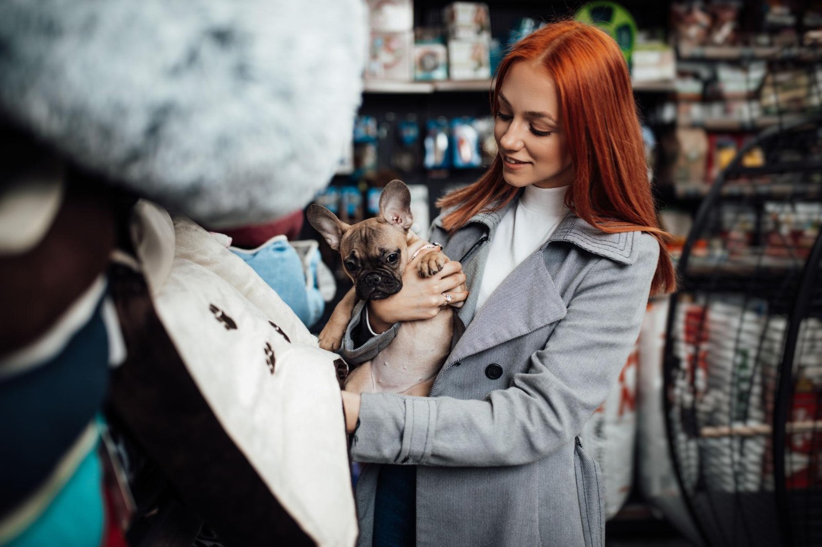 How To Buy Puppies From Trusted Dog Breeders UAE