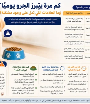 كم مرة يتبرز الجرو يوميًا؟