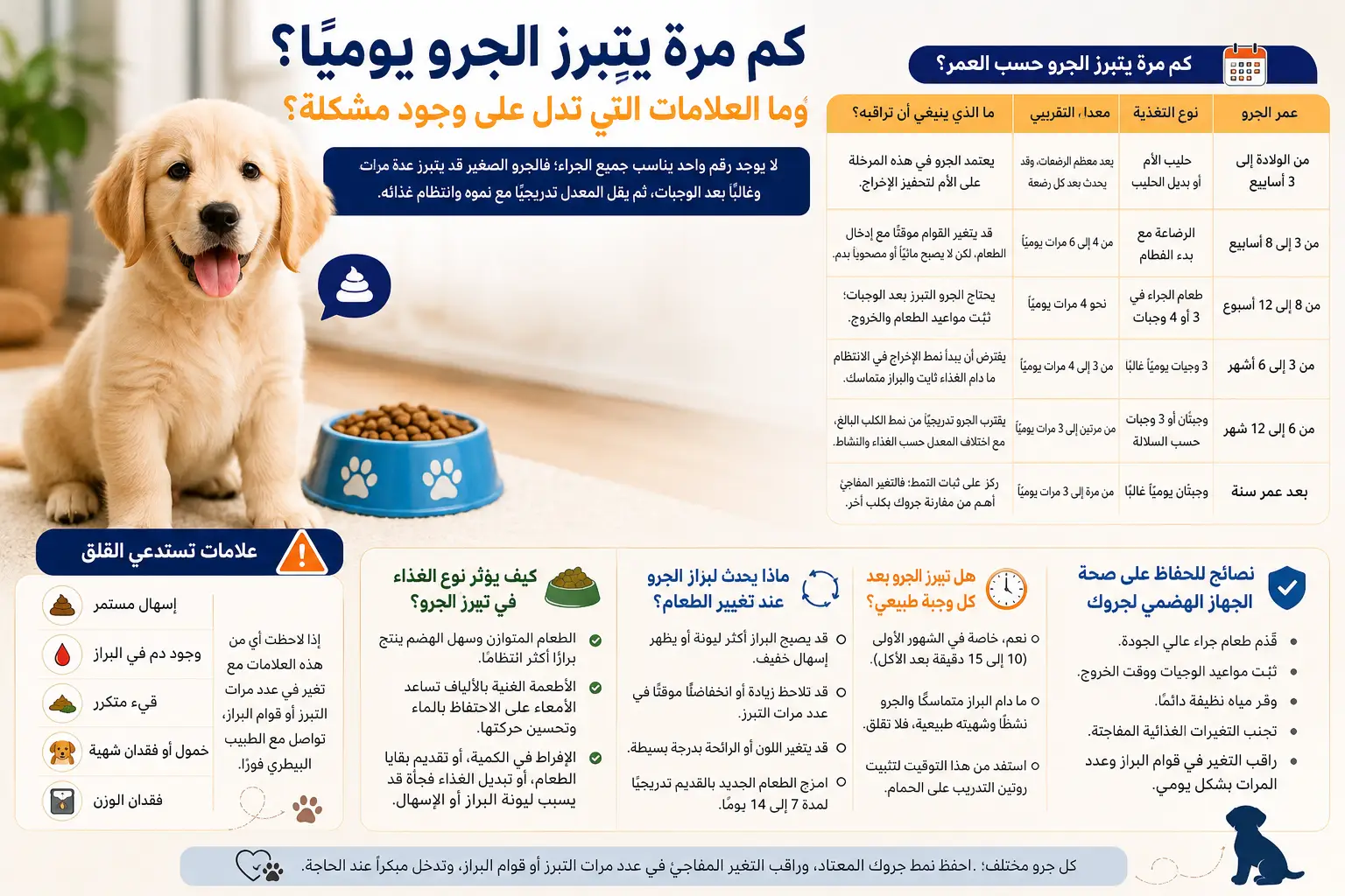 كم مرة يتبرز الجرو يوميًا؟