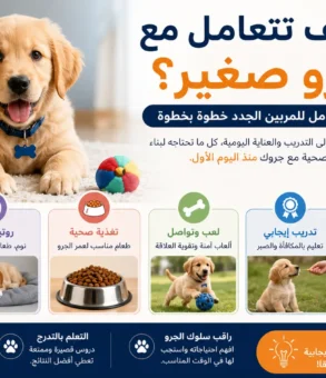 كيف اتعامل مع جرو صغير؟ دليل شامل للمربين الجدد خطوة بخطوة