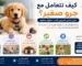 كيف اتعامل مع جرو صغير؟ دليل شامل للمربين الجدد خطوة بخطوة