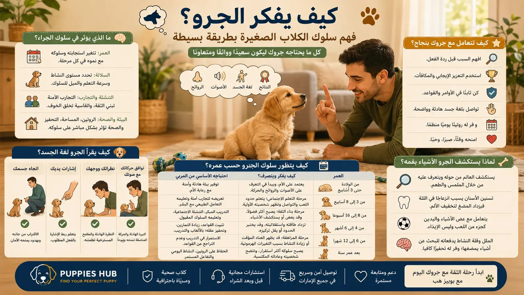 كيف يفكر الجرو؟ فهم سلوك الكلاب الصغيرة بطريقة بسيطة