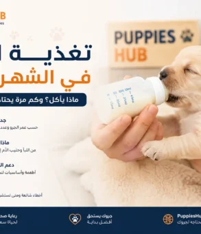 ماذا يأكل الجرو في الشهر الأول