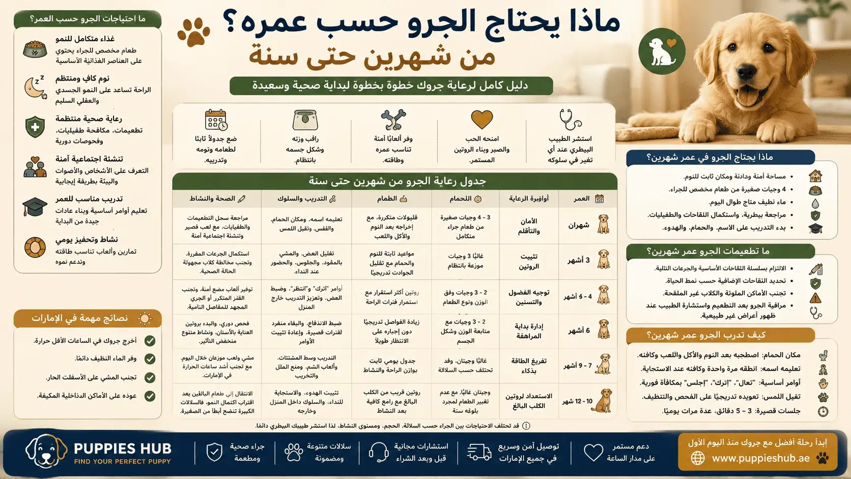 ماذا يحتاج الجرو حسب عمره؟ من شهرين حتى سنة