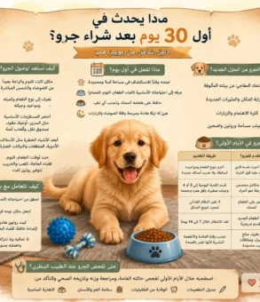 ماذا يحدث في أول 30 يوم بعد شراء جرو؟